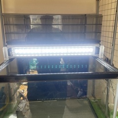 60cmワイド水槽セット