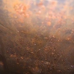 ホンダ　ラクーン50 鍵有　書無の画像