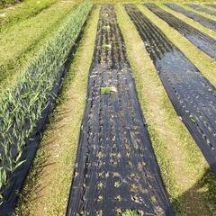 一緒に家庭菜園をしませんか？ - 福知山市
