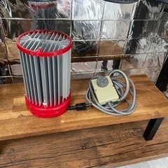 破格‼︎ 植物引退セットセット　※植物なしです。の画像