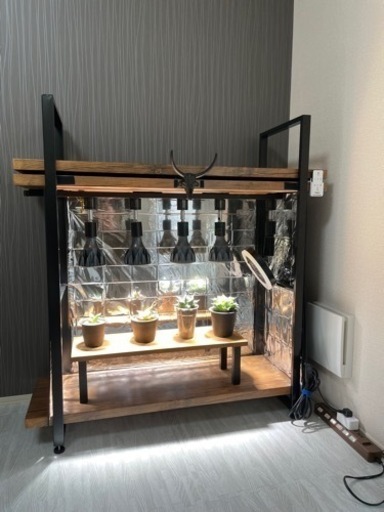 破格‼︎ 植物引退セットセット　※植物なしです。