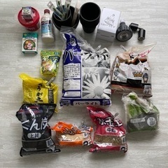 破格‼︎ 植物引退セットセット　※植物なしです。の画像