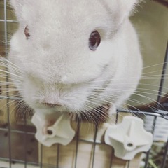 午前中で会える友達募集❗️