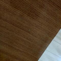 コタツ【ニトリ】の画像