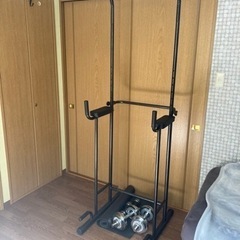 懸垂機　懸垂　チンニング　ぶら下がり健康器　背筋　トレーニング