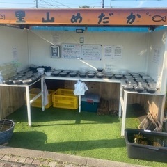 里山公園前　メダカ無人販売所　里山めだか5/3出店