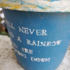 ワイヤープランツ🌱の画像