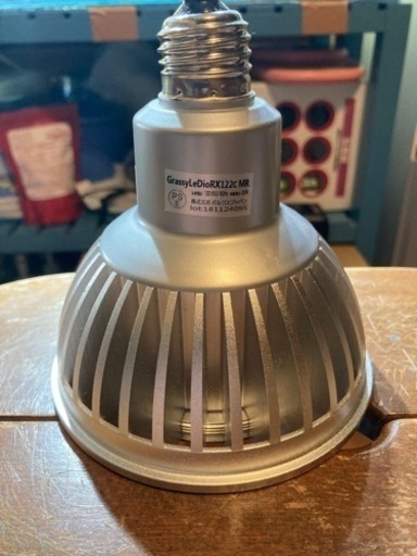 ボルクスジャパン　グラッシーレディオ