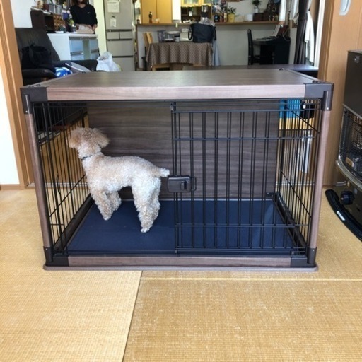 アイリスオーヤマ　犬用ケージ　木目調　天井付き