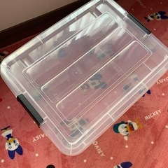カラーBOXの画像