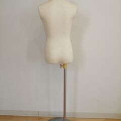 キッズトルソー　の画像