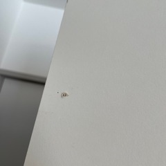 IKEA イケア　棚　ラック　本棚　または　木材　木板の画像