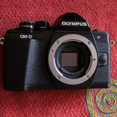 E-M10 MarkⅡ + Zuiko17mm F1.8 美品の画像