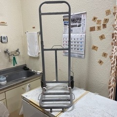 キャリーの画像