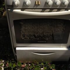 ロシニョール　ガスオーブンの画像