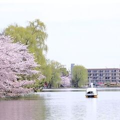 GW中 毎日内覧会。入居前支払いは家賃のみ 大家直接 2人入居可...