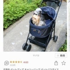 【10000円】 ペットカートの画像