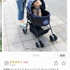 【10000円】 ペットカートの画像