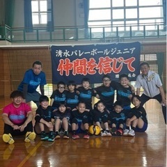 清水バレーボールジュニア団員募集‼️
