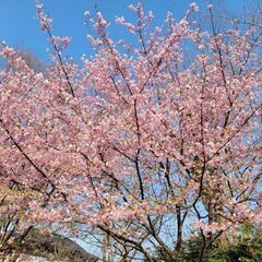 趣味が１つであえばぜひご一緒にしませんか？ - 富士市