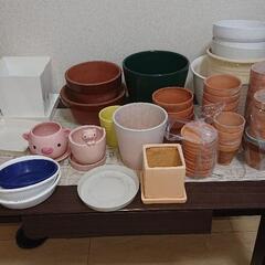 ☆決定☆植木鉢セットで100円