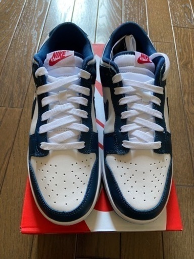 Nike Dunk Low 