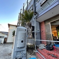 【取引中】ヤシの木あげます