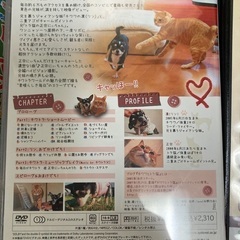 受け渡し決まりました★購入者限定★DVD無料でお譲り致しますdの画像