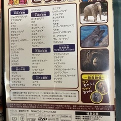受け渡し決まりました★購入者限定★DVD無料でお譲り致しますdの画像