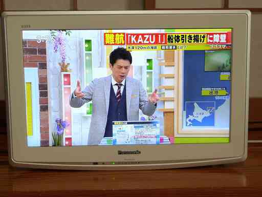 パナソニック ビエラ 液晶テレビ 19型  TH-L19D2(TH-L19D2VA) 2010年製