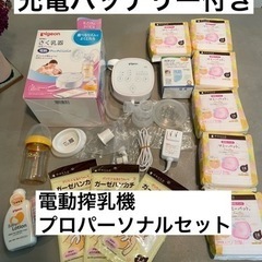 ピジョン電動搾乳機ProPersonal 充電バッテリー付