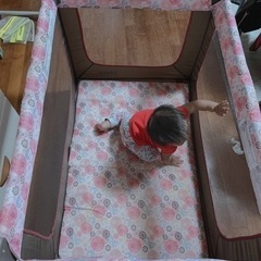 お取引き中cosco プレイヤード　値下げの画像