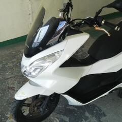 PCX   jf56  