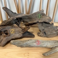 極上天然流木3点セット