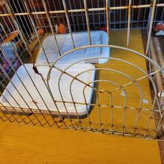 サークル　柵の画像