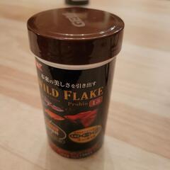 淡水魚3匹貰って下さい！の画像