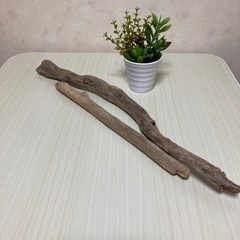 流木🪵　値下げしました