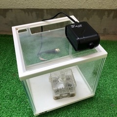 水槽セット