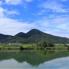 平日　二上山　ハイキング仲間募集✨
