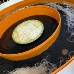 5/5.7.8日の内で鮎釣り＋流しそうめん　します！☺️ - 西牟婁郡