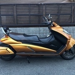スズキ　ジェンマ　おまけ付【商談中】