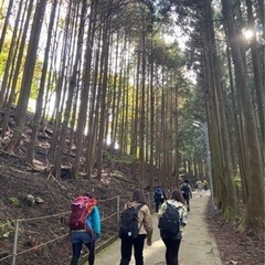 ハイキング🌿