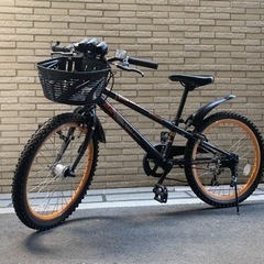 【22インチ】子供用自転車