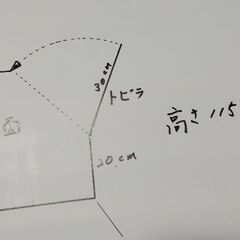 五角形シ－ケ－スの画像