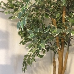 造花　木　オブジェ　インテリア