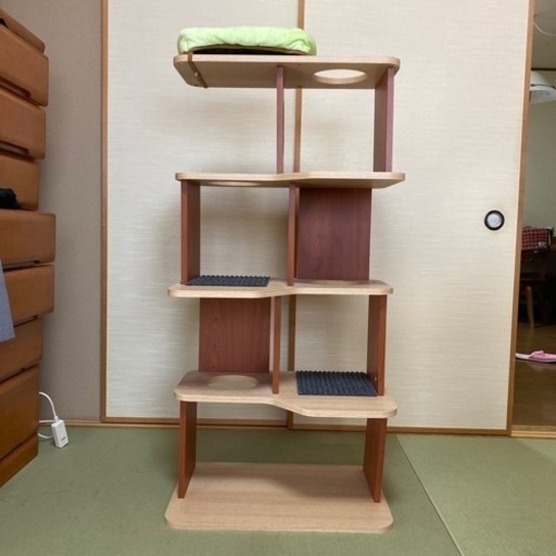 引き取り希望　アイリスオーヤマ　木目　キャットタワー　猫