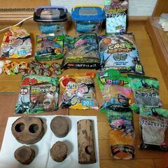 カブトムシ・クワガタ 飼育セット
