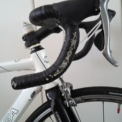 ORBEA AQUA 2008モデルの画像