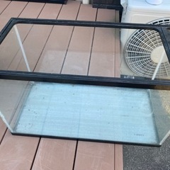 60cm水槽→45cm水槽へどなたか…
