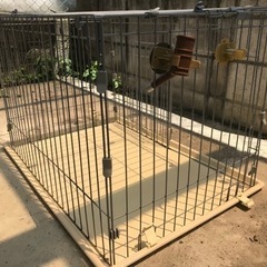 犬　ケージの画像